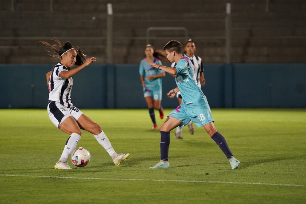 Argentino de merlo pasión celeste y blanca